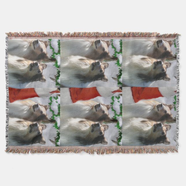 Rough Collies Möte jultomten Mysfilt (Framsidan)