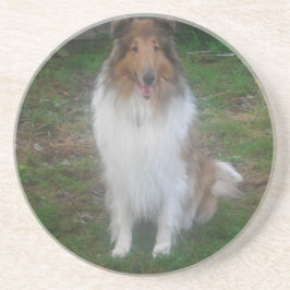 Rough Sable Collie Underlägg Sandsten
