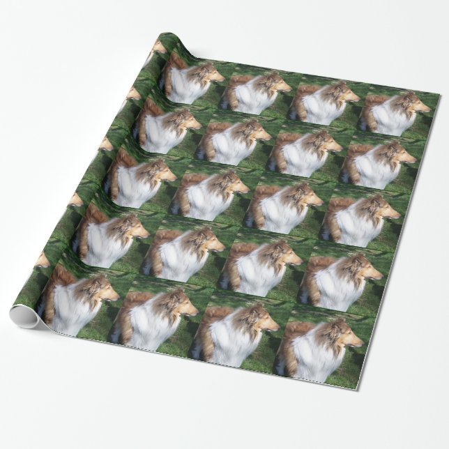 Rough Sable Collie Wrapping Papper Presentpapper (Utrullad)