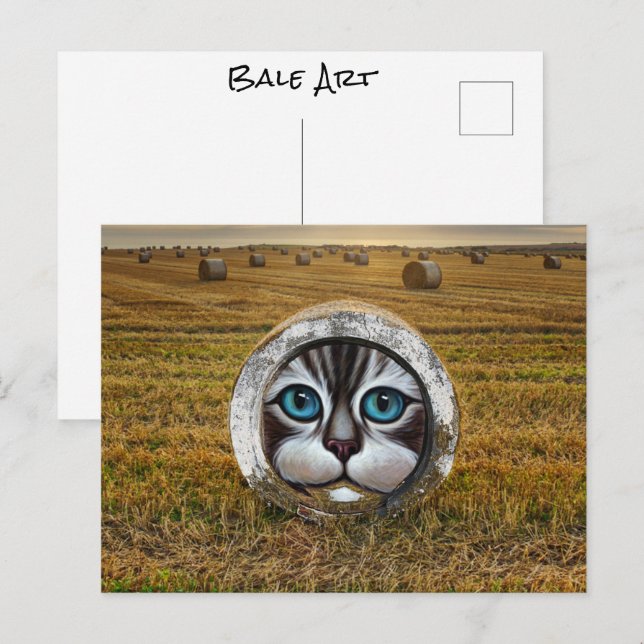 Round Bale Art Ranchers Farmers Hay Fält Graffiti Vykort (Fram/baksida)