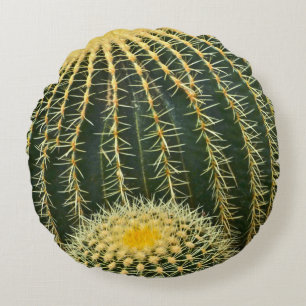 ROUND DEKORATIV KUDDE/GOLDEN BARREL CACTUS RUND KUDDE