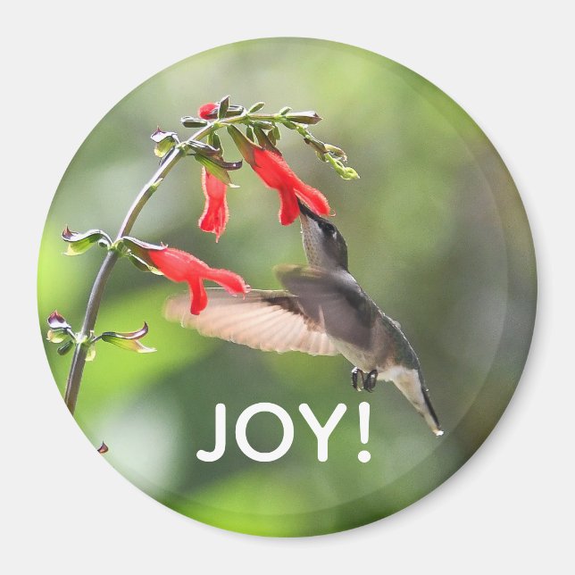 Round Hummingbird Magnet (Framsidan)