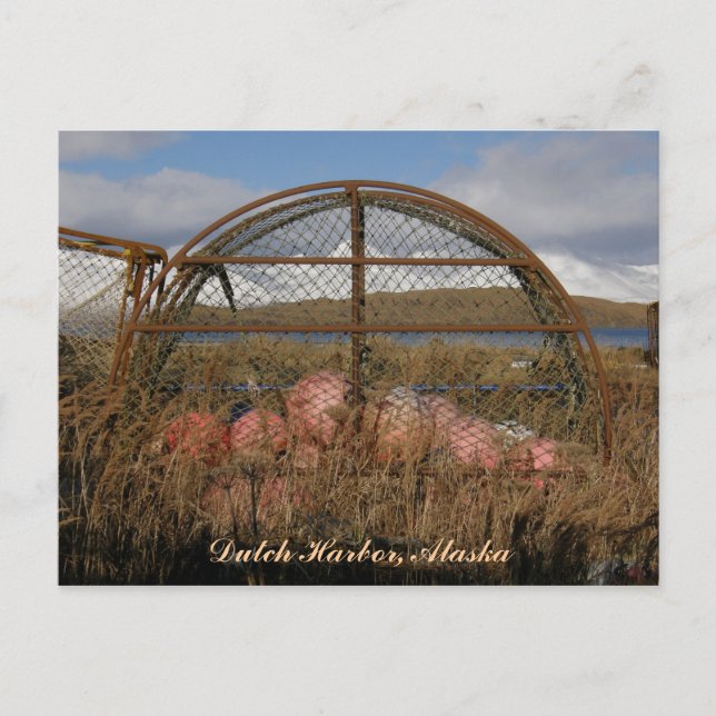 Round Kung Crab Crabpot, Dutch Harbor Alaska Vykort (Framsida)