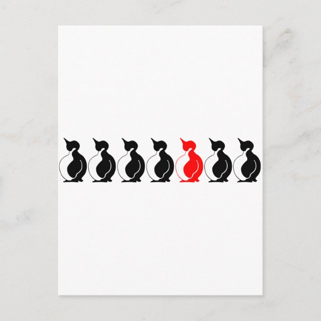 Round Penguin-gruppen Vykort (Framsida)