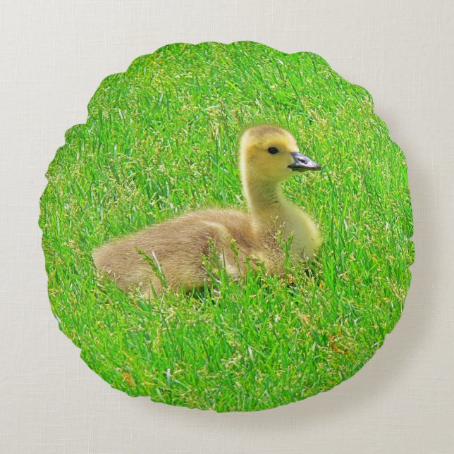 Round Pillow  Canada Goose Rund Kudde (Framsidan)