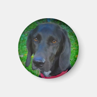 ROUND REFRIGERATOR MAGNET, SVART LAB, GIFTS, PETS MAGNET