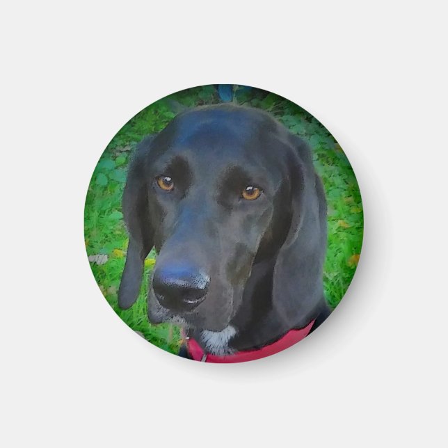 ROUND REFRIGERATOR MAGNET, SVART LAB, GIFTS, PETS MAGNET (Framsidan)