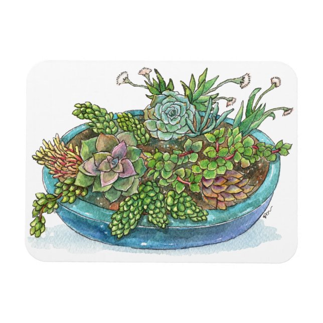 Round Succulent Garden Magnet (Horisontell)