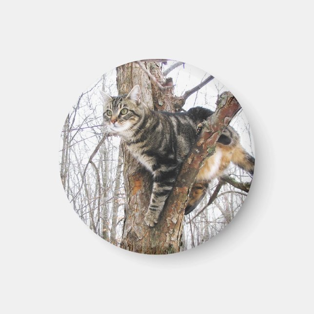 Round Tabby katt Magnet (Framsidan)