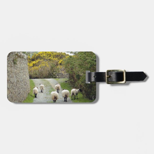 Roundstone rusningstid bagagebricka (Horisontell Framsida)
