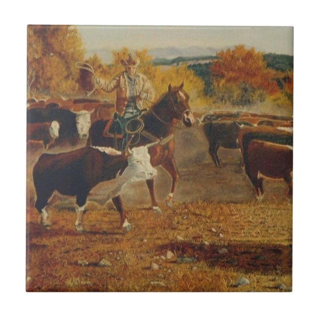 Roundup Kakelplatta (Framsidan)