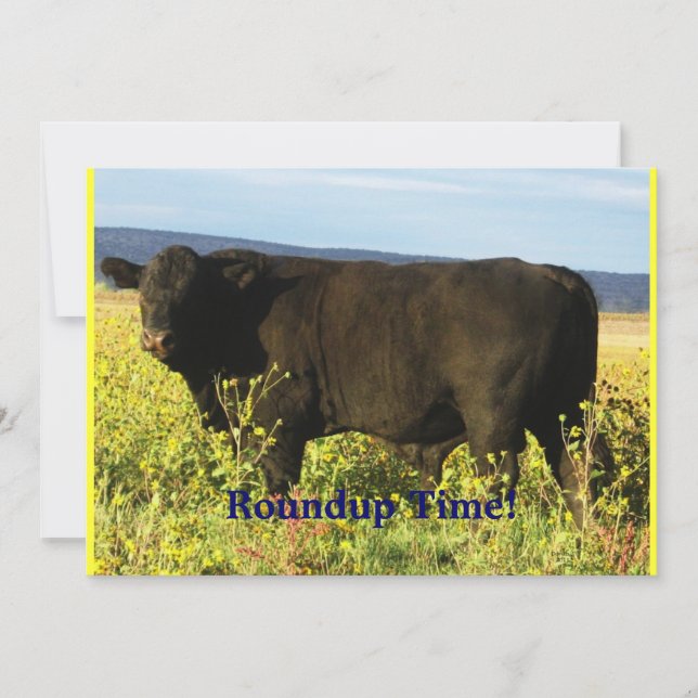 Roundup Time!  Nötkreatur kör - det westerna Inbjudningar (Framsida)