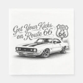 Route 66 servetter