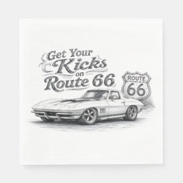 Route 66 servetter