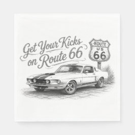 Route 66 servetter