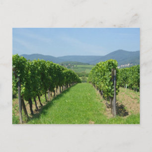 Route de Vins d'Alsace Vykort