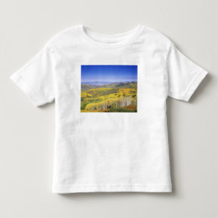 Routt National Forest i färg, nära T-shirt