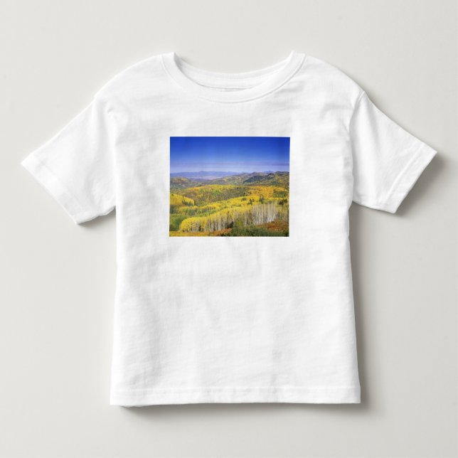 Routt National Forest i färg, nära T-shirt (Framsida)