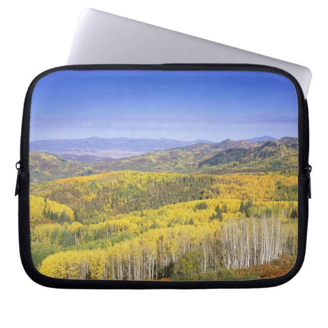 Routt National Forest i höstfärg, nära Laptop Fodral (Framsidan)