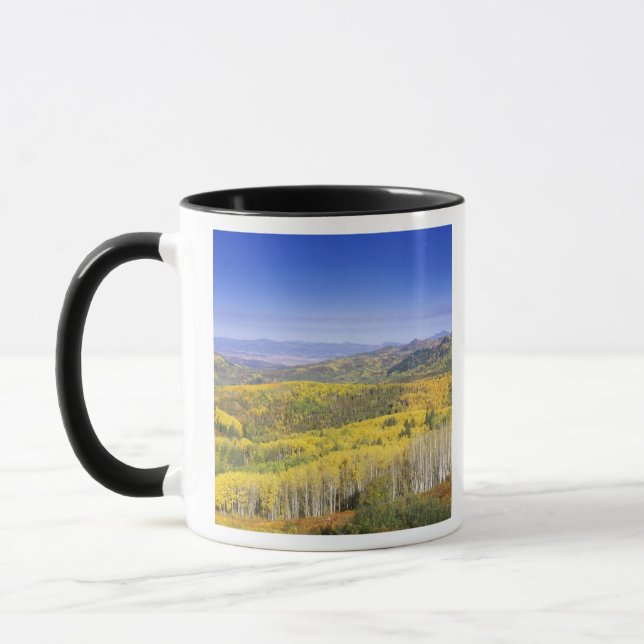 Routt National Forest i höstfärg, nära Mugg (Vänster)