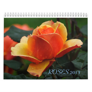 ROvägg 2013 Callendar Kalender