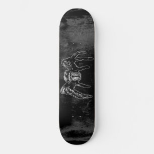 Rovdjur Mini Skateboard Bräda 18,7 Cm