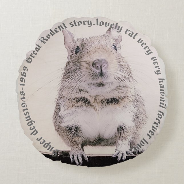 ⊿Rovers⊿ Rodent world　～癒しの小動物～No.２ Rund Kudde (Framsidan)