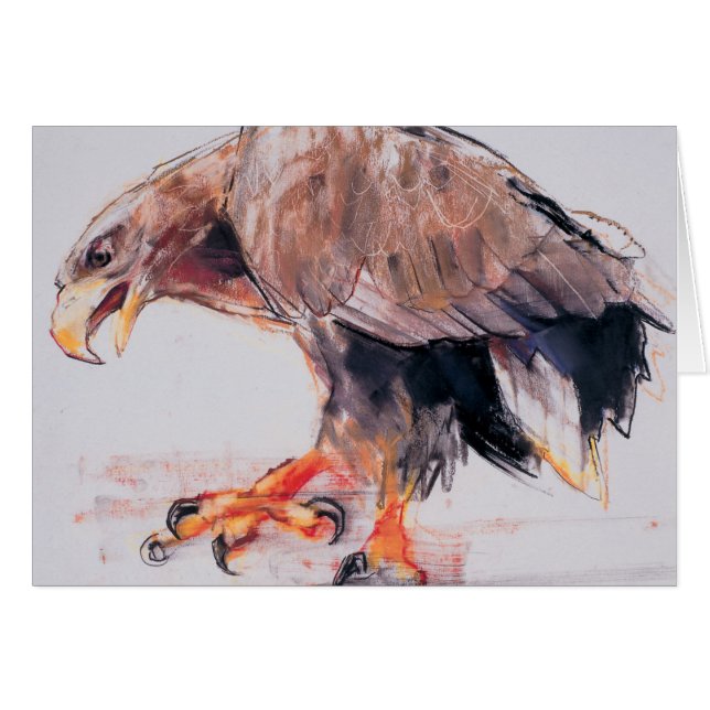 Rovfågel 2001 hälsningskort (Framsidan Horizontal)