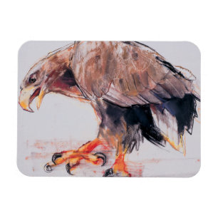 Rovfågel 2001 magnet