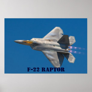 ROVFÅGEL F22 POSTER