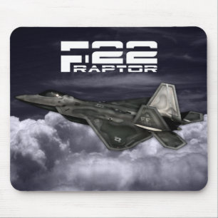 ROVFÅGEL F-22 MUSMATTA