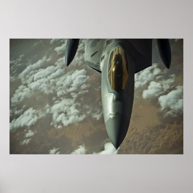 Rovfågel F-22 Poster (Framsidan)