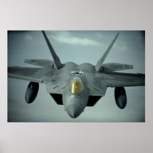 Rovfågel F-22 Poster