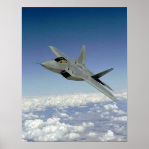 Rovfågel F-22 Poster