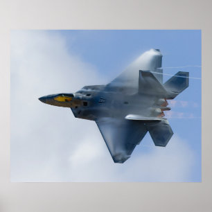 Rovfågel F-22 Poster