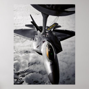 Rovfågel F-22 Poster