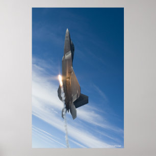 Rovfågel F-22 Poster