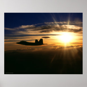Rovfågel F/A-22 Poster