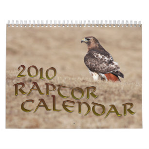 Rovfågelkalender 2010 kalender