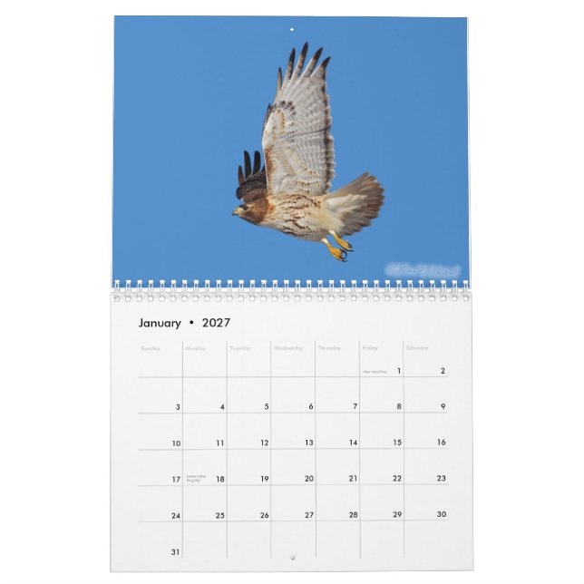 Rovfågelkalender 2010 kalender (Jan 2027)