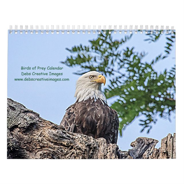 Rovfåglar 2026 kalender (Omslag)