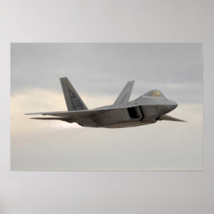 Rovfåglar F-22 Poster