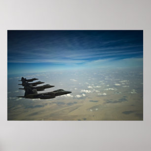 Rovfåglar F-22 Poster