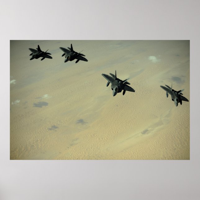 Rovfåglar F-22 Poster (Framsidan)