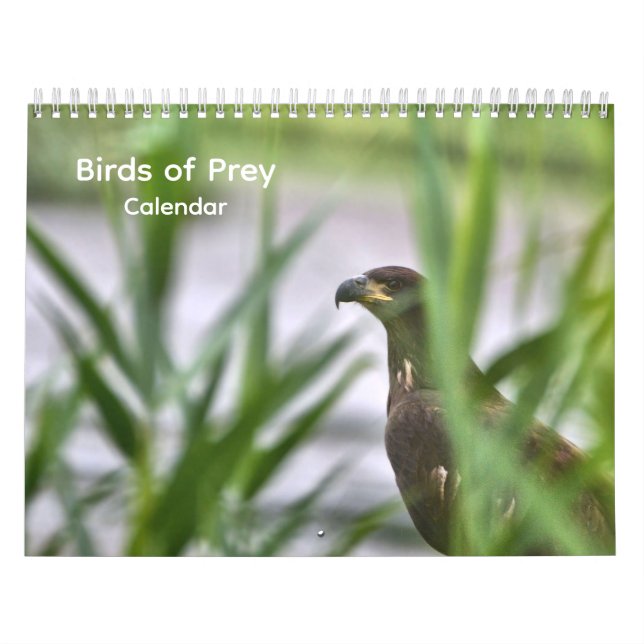 Rovfåglar Kalender (Omslag)