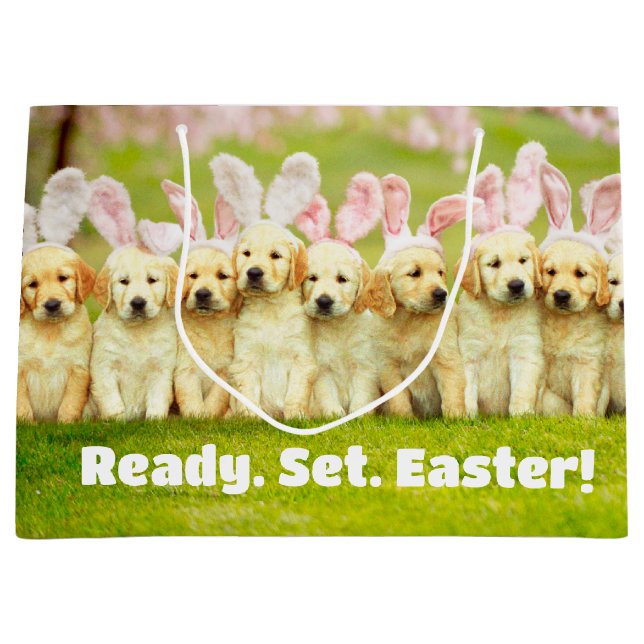 Row of Puppy Bunnies (Framsidan)