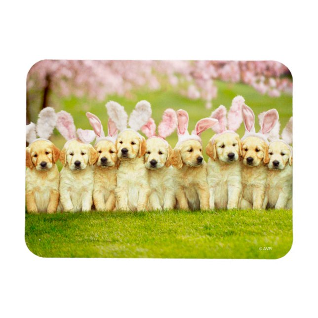 Row of Puppy Bunnies Magnet (Horisontell)