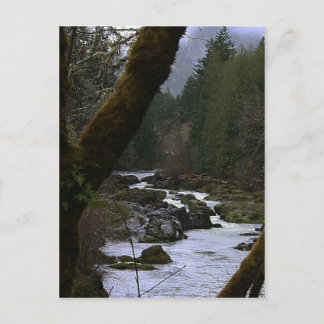 Row River Rapids Vykort