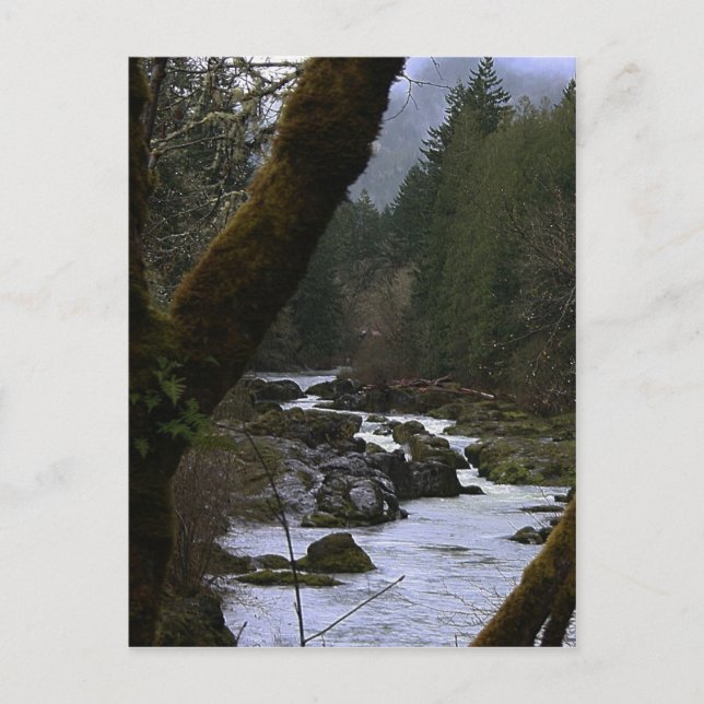 Row River Rapids Vykort (Framsida)