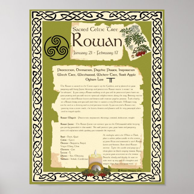 ROWAN CELTIC HELIG TRÄD POSTER (Framsidan)